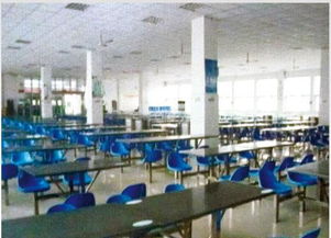 河南微笑餐飲管理公司閃耀中國食品春晚，榮膺優(yōu)秀品牌彰顯卓越管理